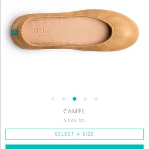 Tieks by Gavrieli: Size 7